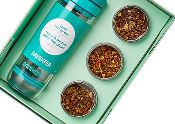 DAVIDsTEA Iced Tea Travel Kit Giftagram