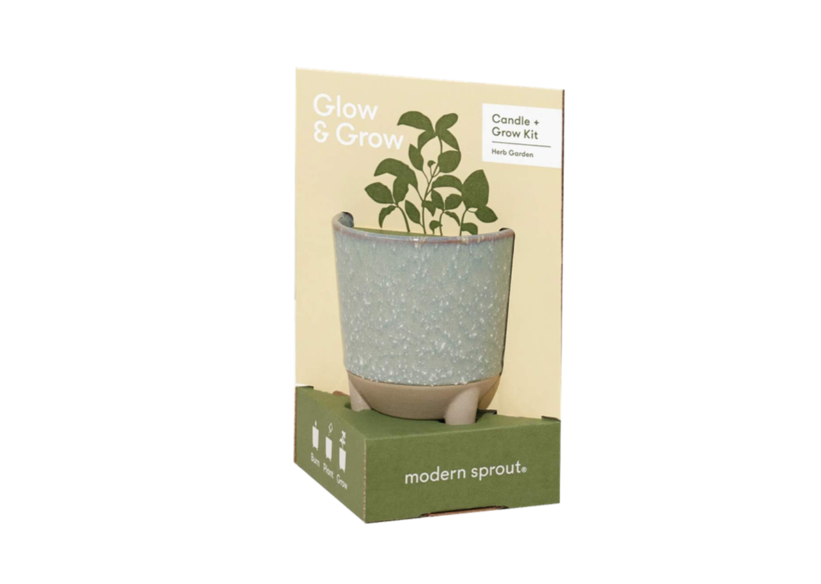 STACK ADAPT - Modern Sprout Glow & Grow Candle Kit